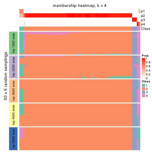 plot of chunk tab-CV-hclust-membership-heatmap-3