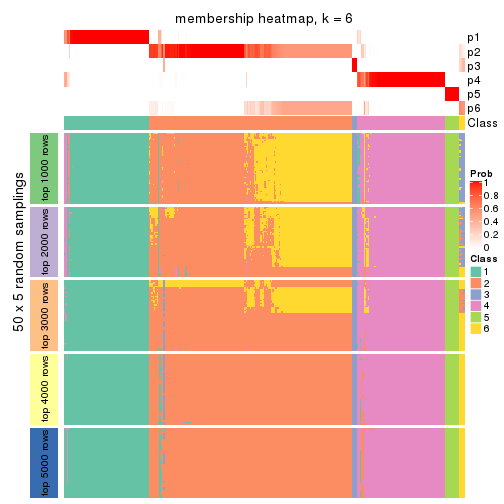 plot of chunk tab-MAD-pam-membership-heatmap-5