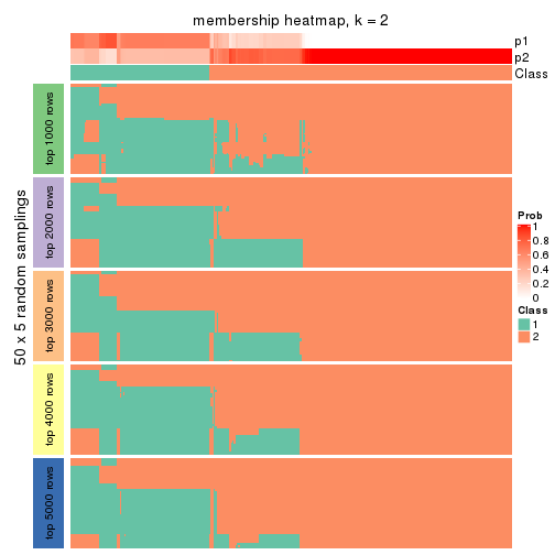plot of chunk tab-SD-kmeans-membership-heatmap-1