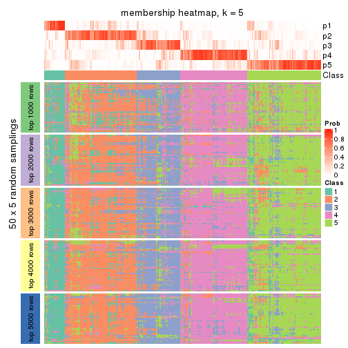 plot of chunk tab-SD-NMF-membership-heatmap-4
