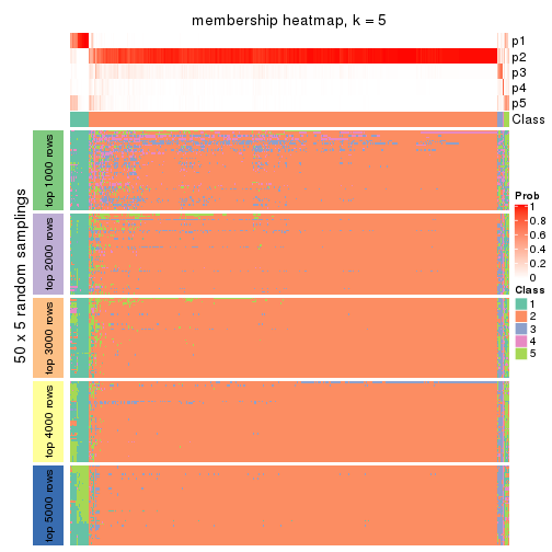 plot of chunk tab-SD-hclust-membership-heatmap-4