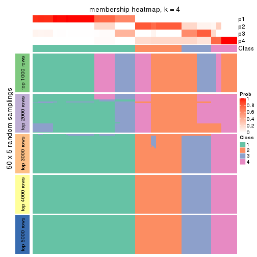 plot of chunk tab-MAD-mclust-membership-heatmap-3