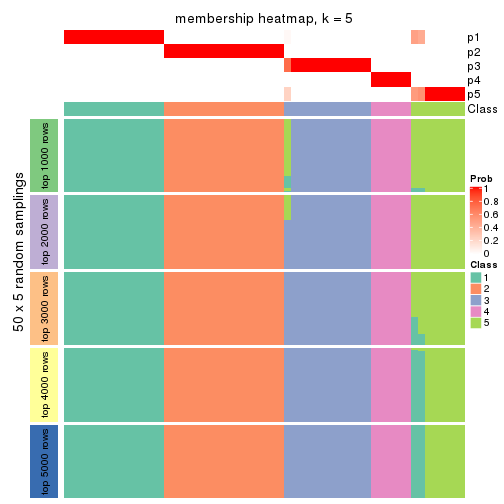 plot of chunk tab-SD-pam-membership-heatmap-4