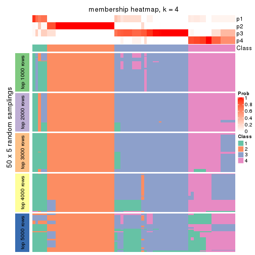 plot of chunk tab-ATC-hclust-membership-heatmap-3