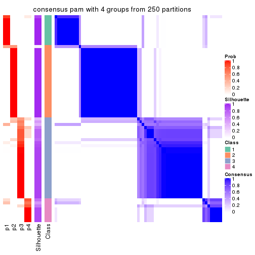 plot of chunk tab-SD-pam-consensus-heatmap-3