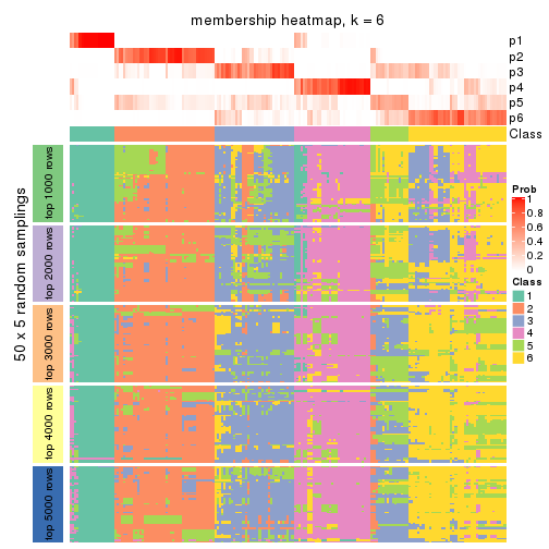 plot of chunk tab-MAD-kmeans-membership-heatmap-5