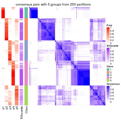plot of chunk tab-SD-pam-consensus-heatmap-4