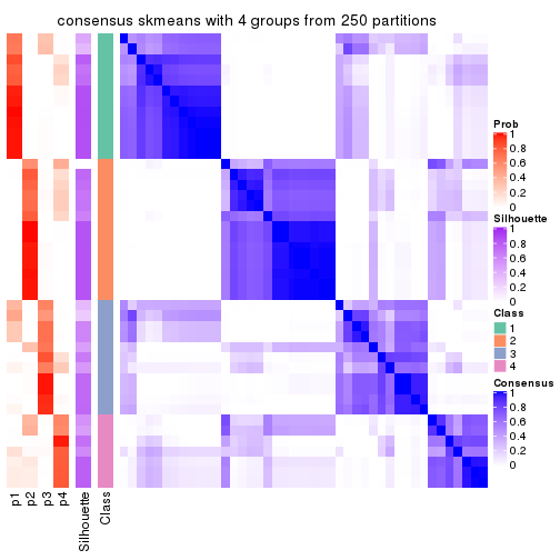 plot of chunk tab-MAD-skmeans-consensus-heatmap-3