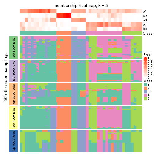 plot of chunk tab-SD-mclust-membership-heatmap-4