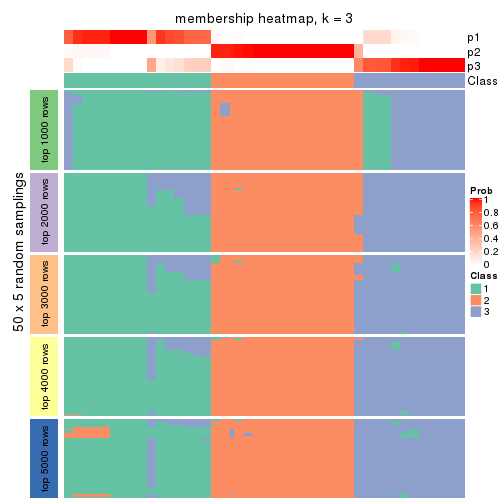 plot of chunk tab-SD-skmeans-membership-heatmap-2