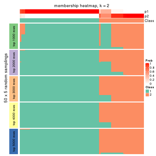 plot of chunk tab-CV-hclust-membership-heatmap-1