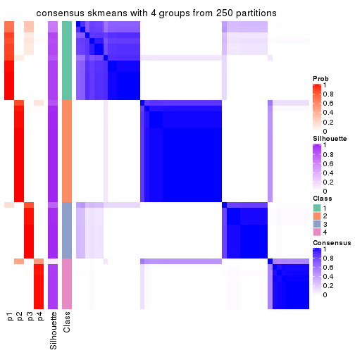 plot of chunk tab-ATC-skmeans-consensus-heatmap-3