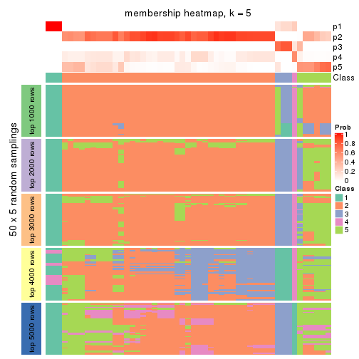 plot of chunk tab-CV-hclust-membership-heatmap-4