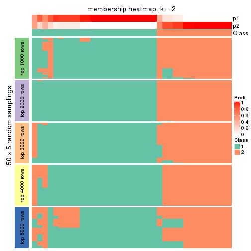 plot of chunk tab-MAD-hclust-membership-heatmap-1