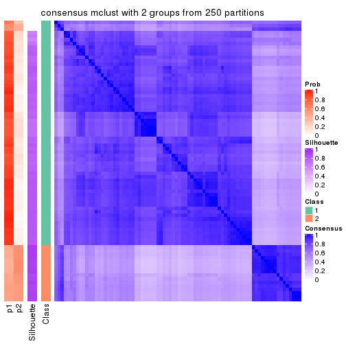 plot of chunk tab-CV-mclust-consensus-heatmap-1