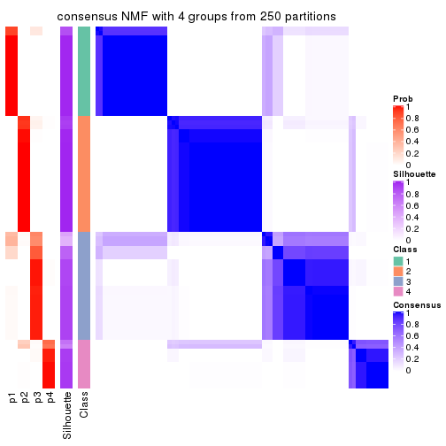 plot of chunk tab-CV-NMF-consensus-heatmap-3