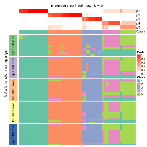 plot of chunk tab-ATC-kmeans-membership-heatmap-4