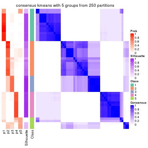 plot of chunk tab-CV-kmeans-consensus-heatmap-4