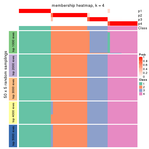 plot of chunk tab-MAD-skmeans-membership-heatmap-3