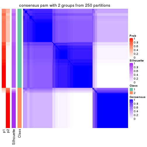 plot of chunk tab-CV-pam-consensus-heatmap-1