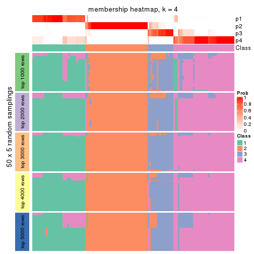 plot of chunk tab-MAD-skmeans-membership-heatmap-3