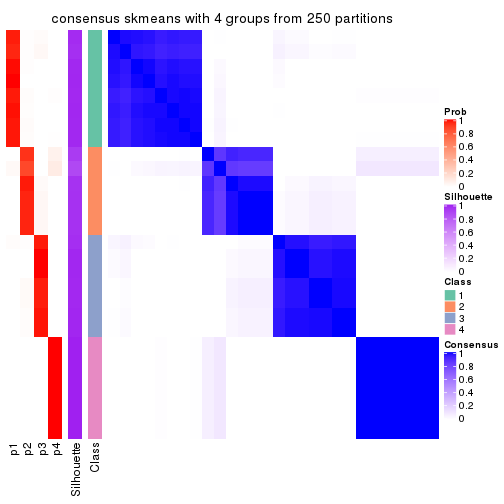 plot of chunk tab-MAD-skmeans-consensus-heatmap-3