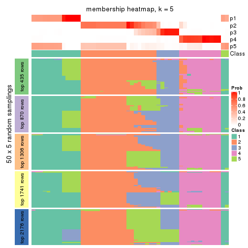 plot of chunk tab-ATC-kmeans-membership-heatmap-4