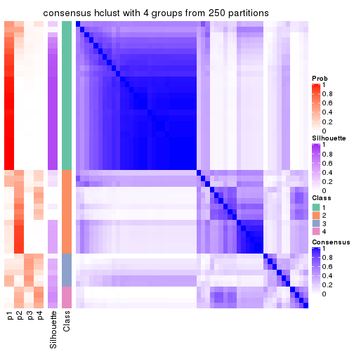 plot of chunk tab-CV-hclust-consensus-heatmap-3