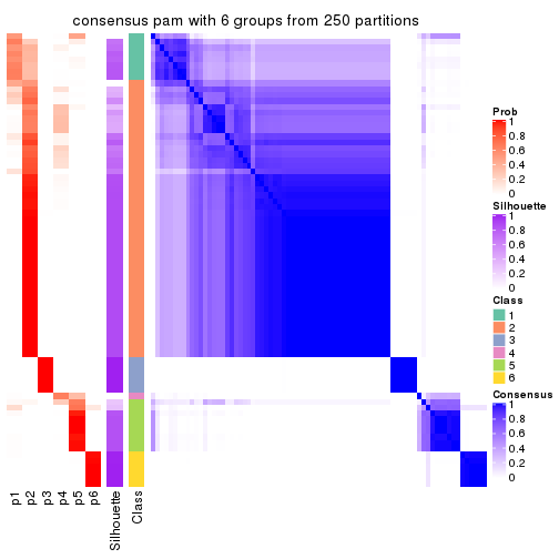 plot of chunk tab-CV-pam-consensus-heatmap-5