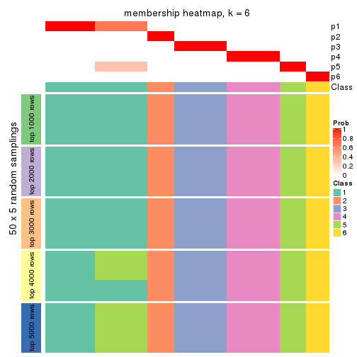 plot of chunk tab-MAD-hclust-membership-heatmap-5