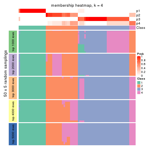 plot of chunk tab-CV-mclust-membership-heatmap-3