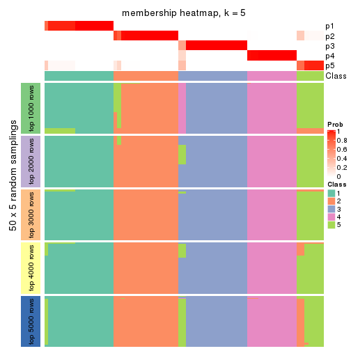plot of chunk tab-CV-skmeans-membership-heatmap-4