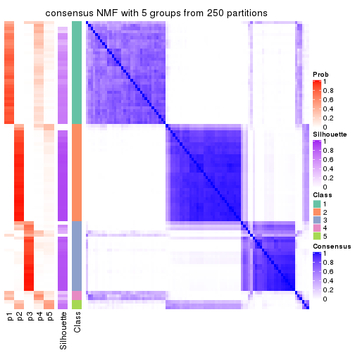 plot of chunk tab-SD-NMF-consensus-heatmap-4