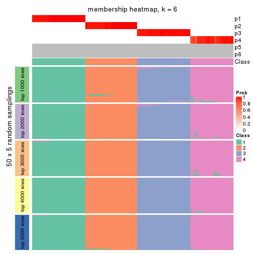 plot of chunk tab-ATC-NMF-membership-heatmap-5