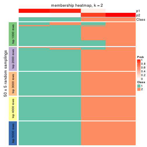 plot of chunk tab-CV-NMF-membership-heatmap-1