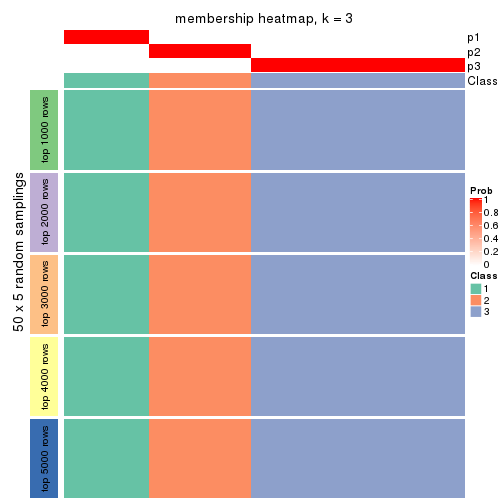 plot of chunk tab-CV-hclust-membership-heatmap-2