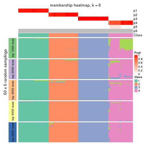 plot of chunk tab-MAD-NMF-membership-heatmap-5