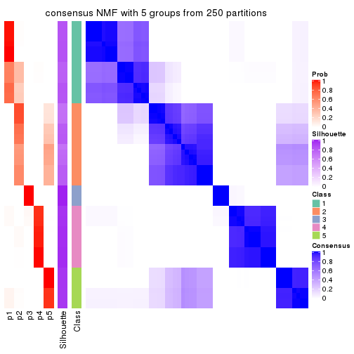 plot of chunk tab-MAD-NMF-consensus-heatmap-4
