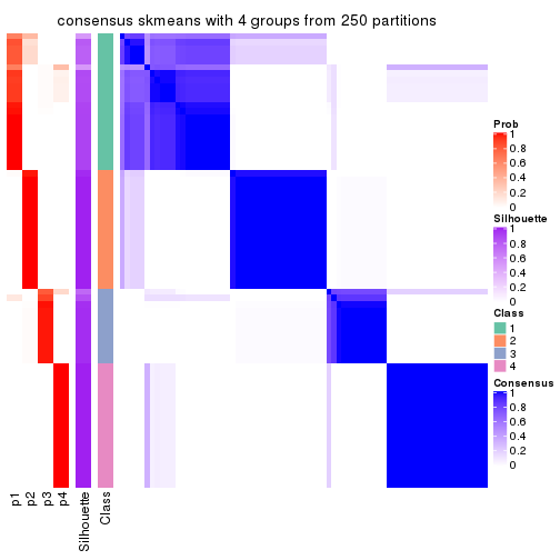 plot of chunk tab-ATC-skmeans-consensus-heatmap-3