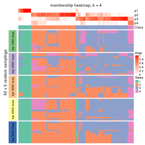 plot of chunk tab-ATC-mclust-membership-heatmap-3