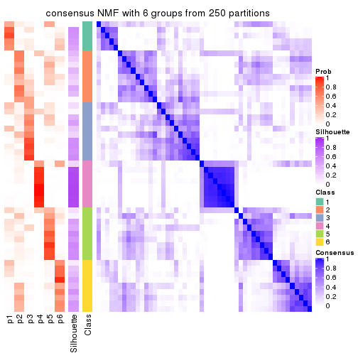 plot of chunk tab-CV-NMF-consensus-heatmap-5