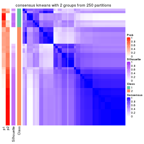 plot of chunk tab-SD-kmeans-consensus-heatmap-1