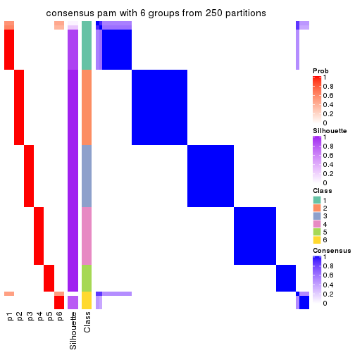 plot of chunk tab-CV-pam-consensus-heatmap-5