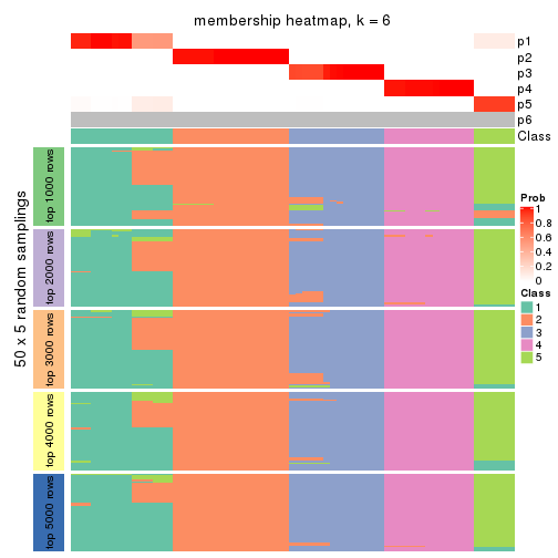 plot of chunk tab-SD-NMF-membership-heatmap-5