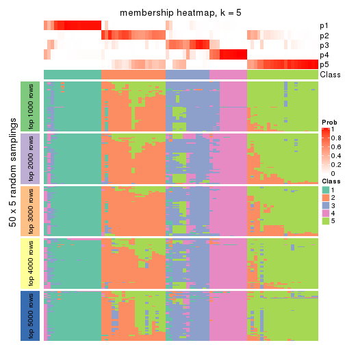 plot of chunk tab-ATC-NMF-membership-heatmap-4