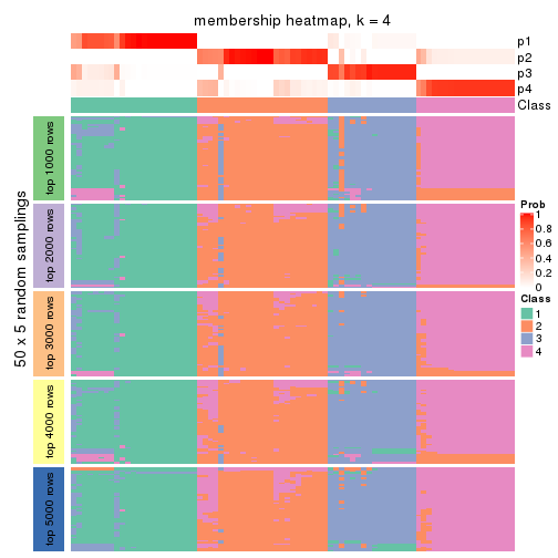 plot of chunk tab-CV-skmeans-membership-heatmap-3