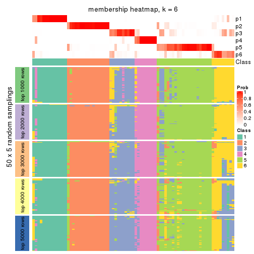 plot of chunk tab-SD-NMF-membership-heatmap-5