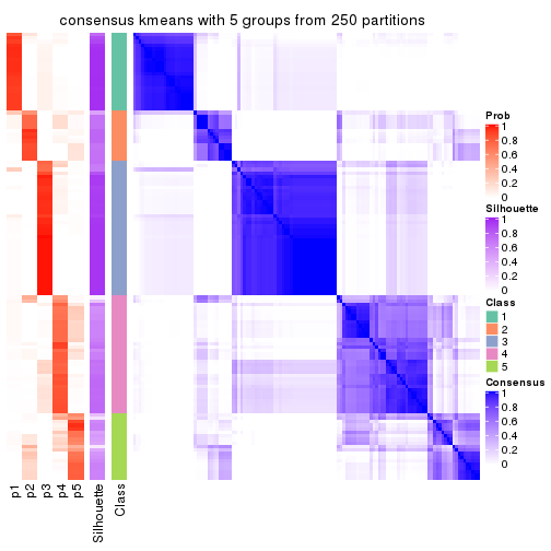 plot of chunk tab-ATC-kmeans-consensus-heatmap-4