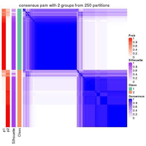plot of chunk tab-MAD-pam-consensus-heatmap-1