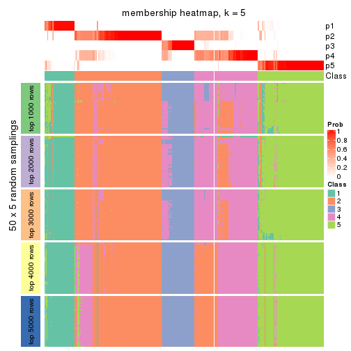 plot of chunk tab-CV-pam-membership-heatmap-4